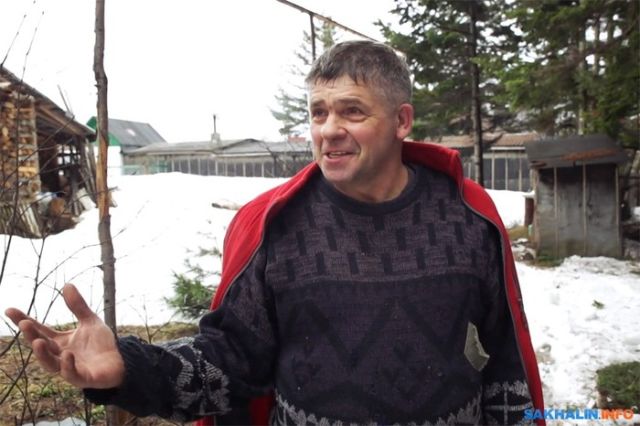 Иван Санжаров, мечтавший превратить Сахалин в остров кедров, вынужден уехать