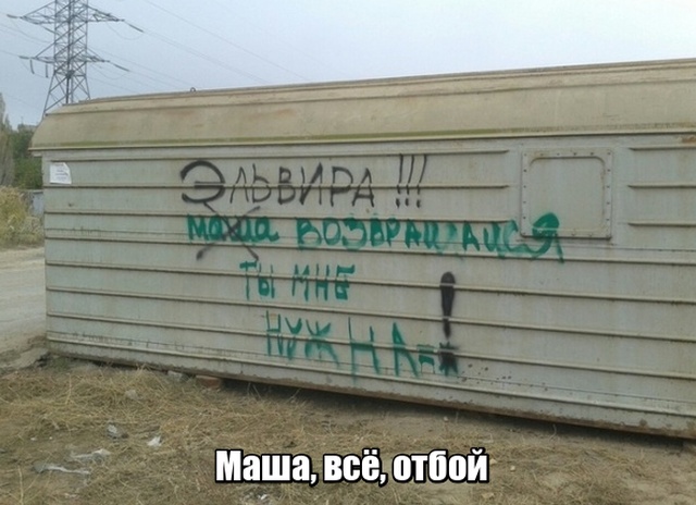 Прикольные картинки