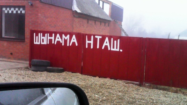 Прикольные картинки