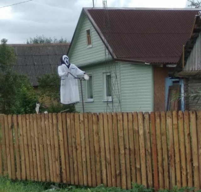Фотографии с просторов нашей бескрайней