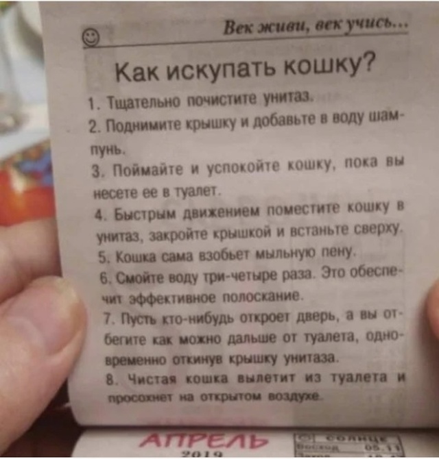 Креативные объявления и забавные надписи