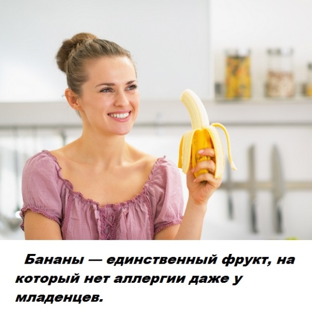 Бесполезные факты обо всем на свете