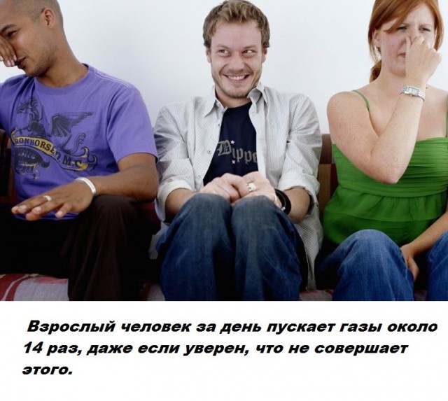 Бесполезные факты обо всем на свете