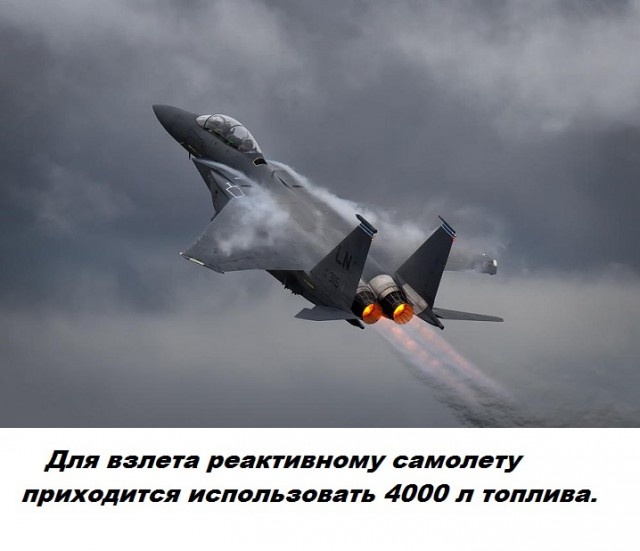 Бесполезные факты обо всем на свете