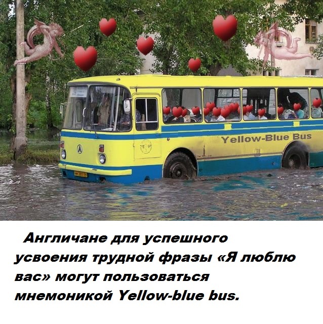 Бесполезные факты обо всем на свете