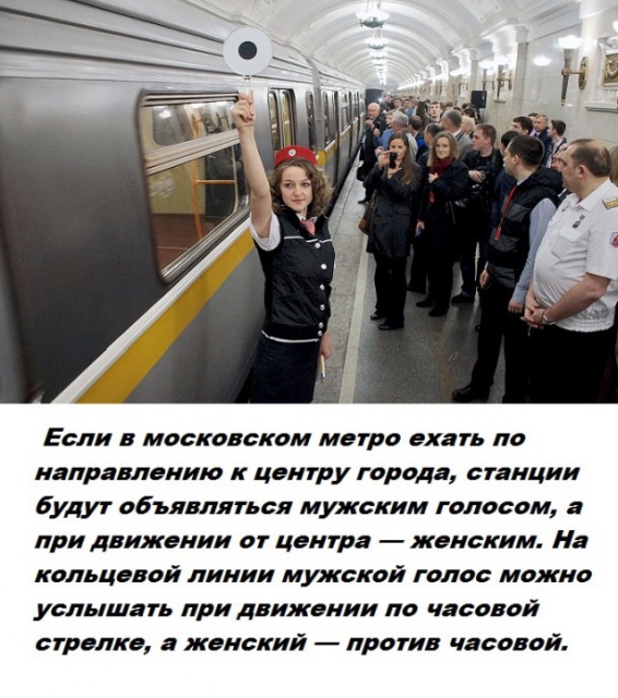Бесполезные факты обо всем на свете