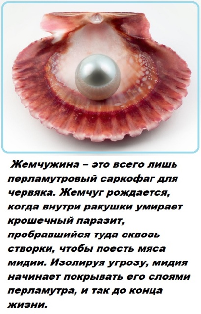 Бесполезные факты обо всем на свете