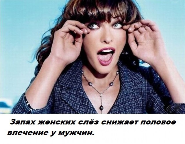 Бесполезные факты обо всем на свете