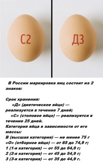 Бесполезные факты обо всем на свете