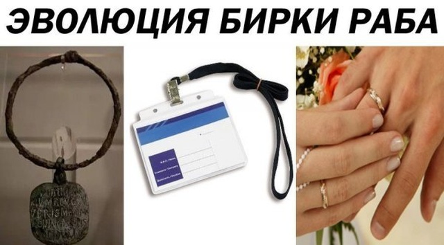 Странный юмор из социальных сетей