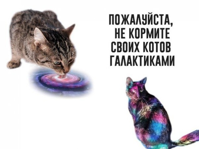 Странный юмор из социальных сетей