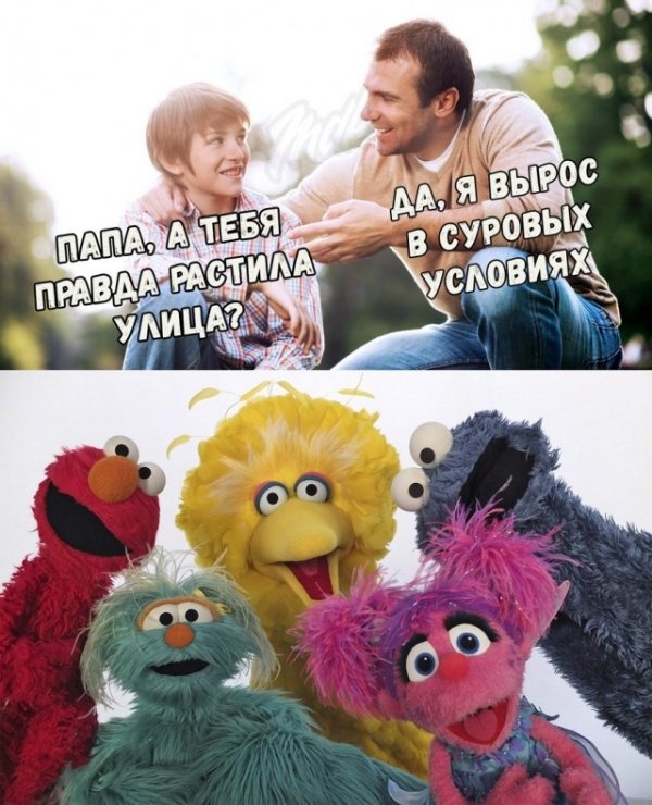 Странный юмор из социальных сетей