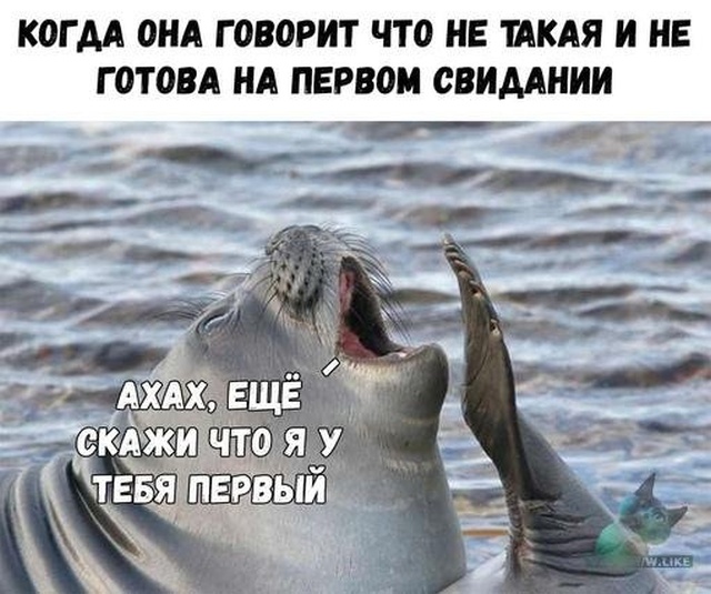Странный юмор из социальных сетей