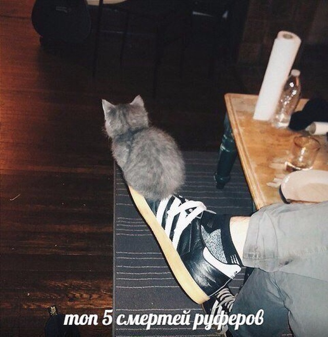Странный юмор из социальных сетей