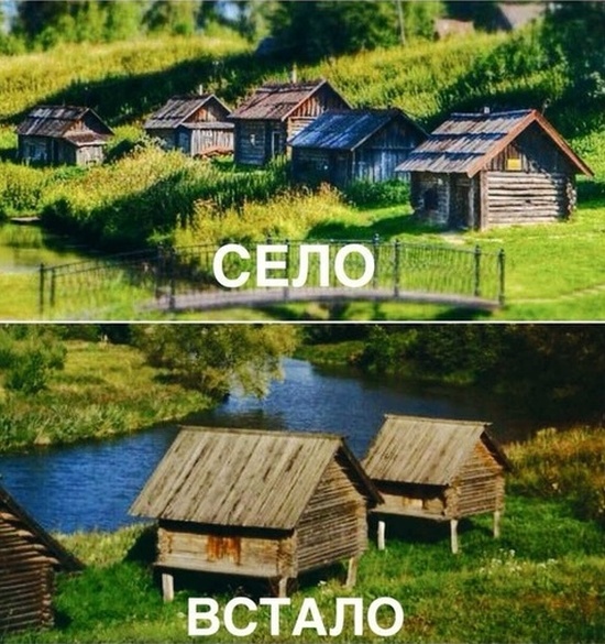 Странный юмор из социальных сетей