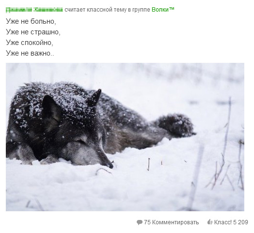Одноклассники, короче