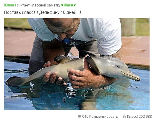 Одноклассники, короче