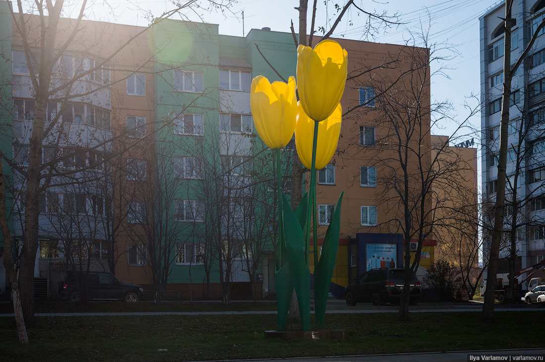 Чем Южно-Сахалинск отличается от других городов России? Чем Южно-Сахалинск отличается от других городов России?