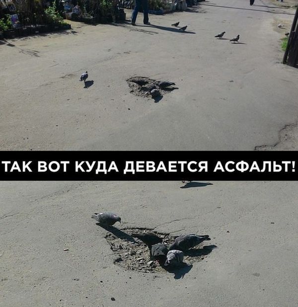 Порция картинок