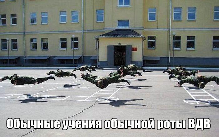 Порция картинок