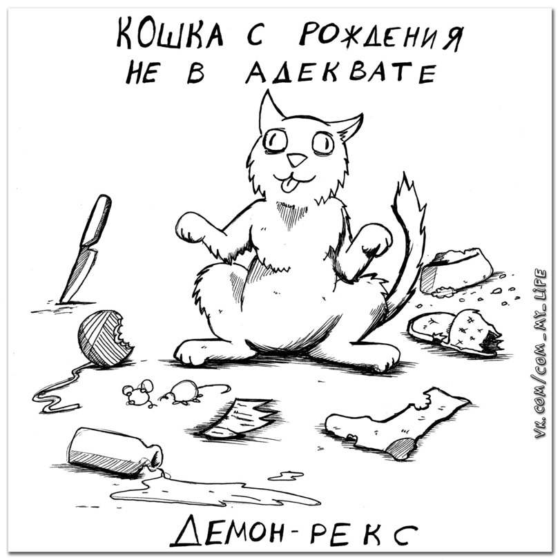 Какой породы ваша кошка?