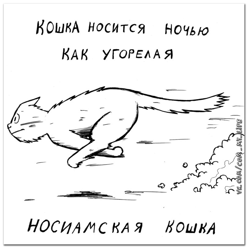 Какой породы ваша кошка?