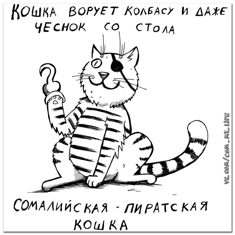 Какой породы ваша кошка?