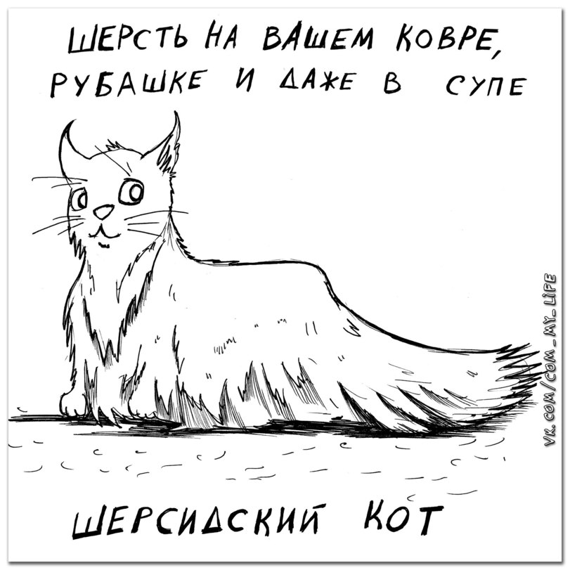 Какой породы ваша кошка?