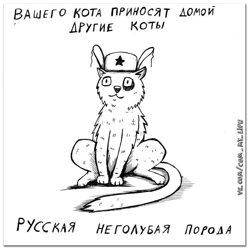 Какой породы ваша кошка?
