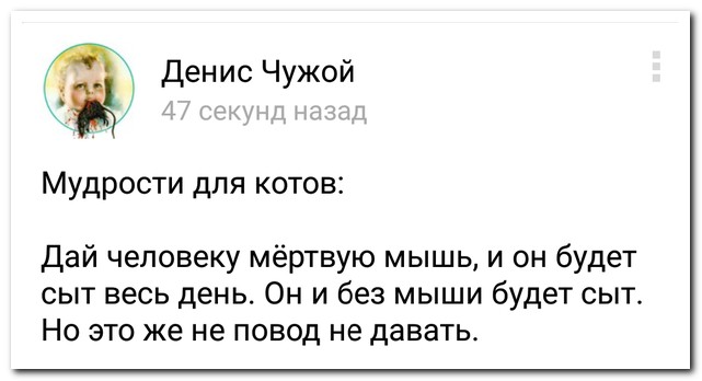 Смешные комментарии из социальных сетей