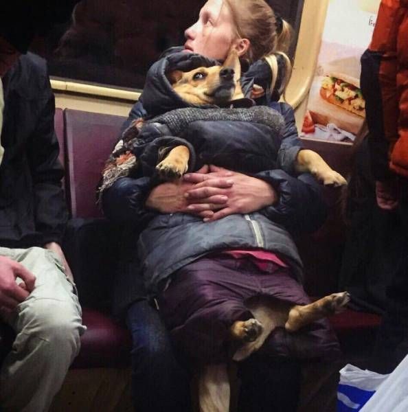 Прикольные картинки