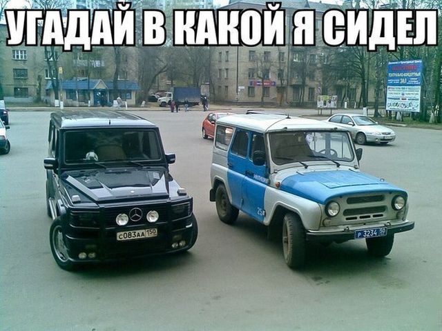 Прикольные картинки
