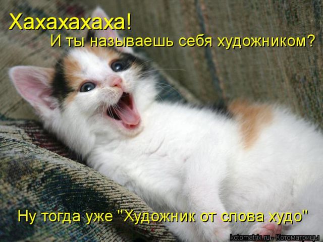 Лучшие котоматрицы недели