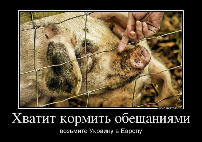 Демотиваторы