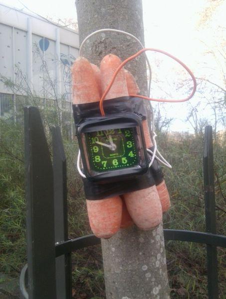 Прикольные картинки