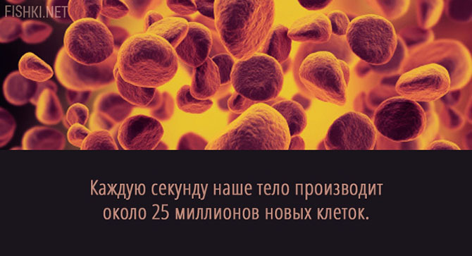 20 суперспособностей, которые есть у каждого