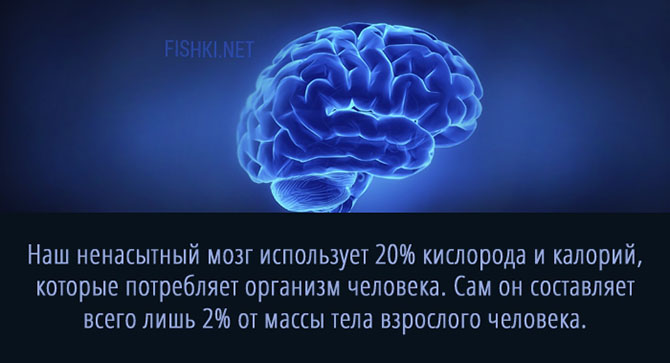 20 суперспособностей, которые есть у каждого