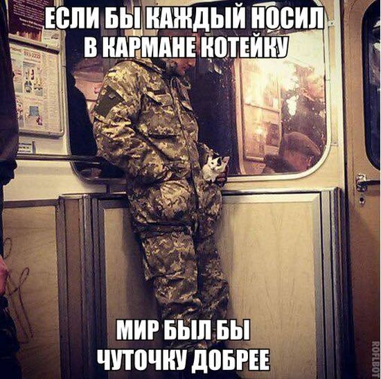 Прикольные картинки (68 фото)