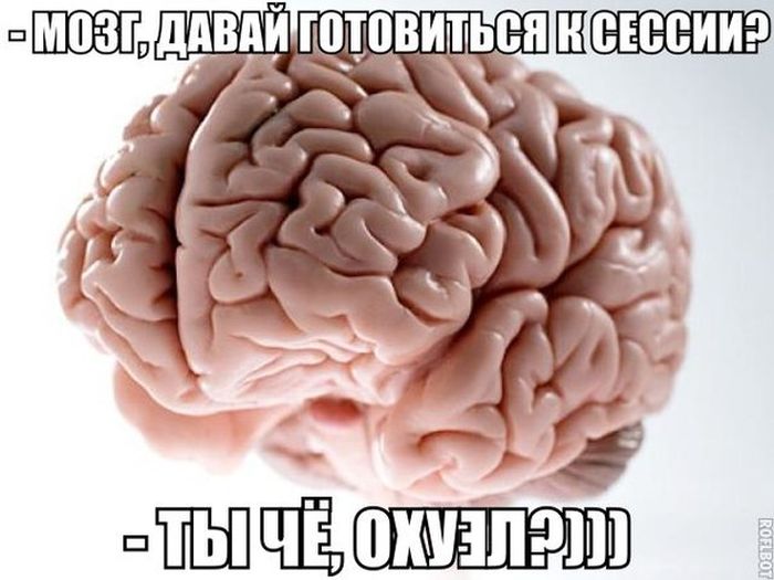 Прикольные картинки (68 фото)