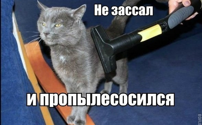 Прикольные картинки (68 фото)