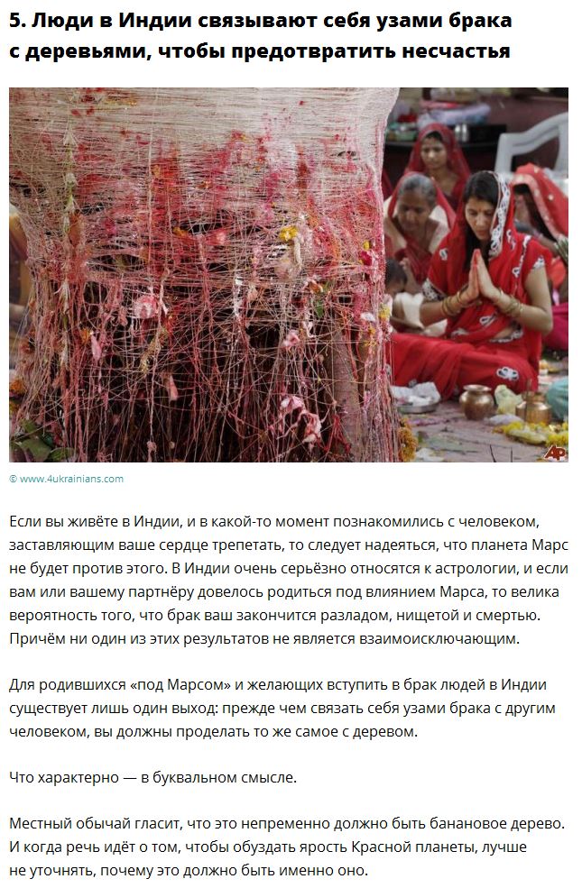 Страны с самыми странными ритуалами спаривания