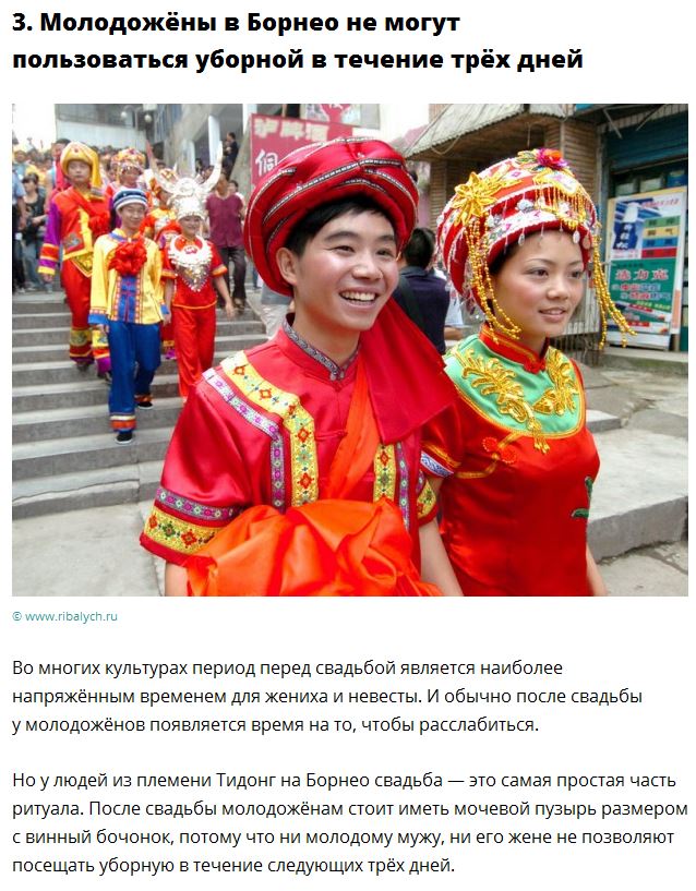 Страны с самыми странными ритуалами спаривания