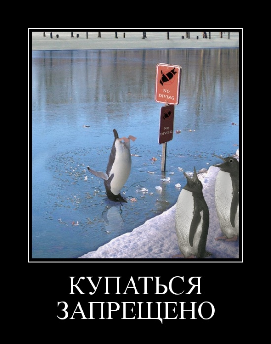 Демотиваторы
