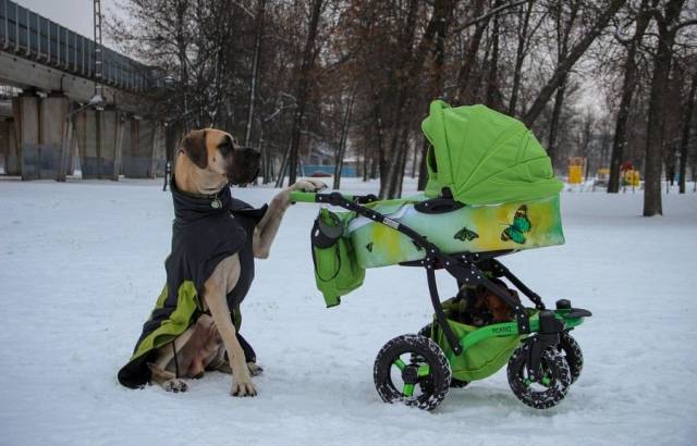 Яркие фотографии вместо тысячи слов