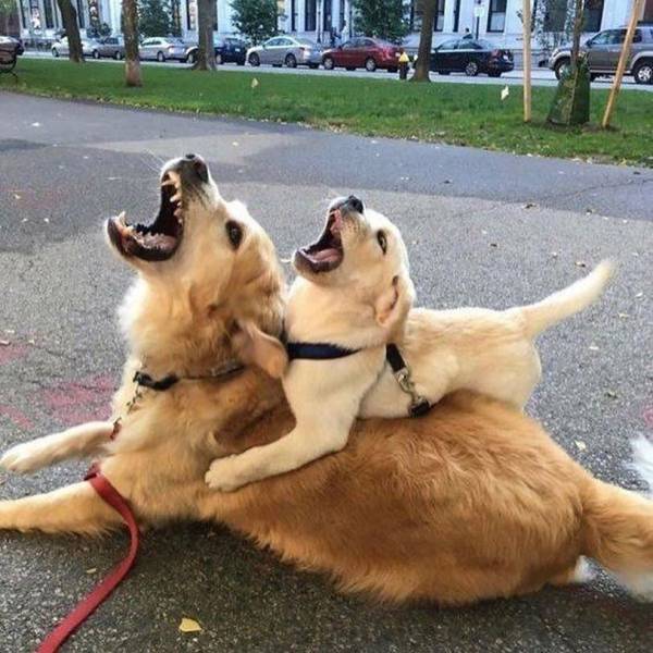 Яркие фотографии вместо тысячи слов