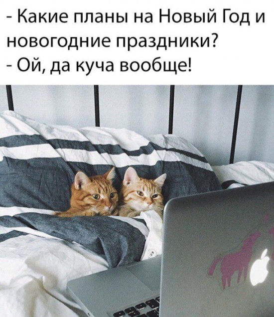 Легкий юмор с просторов сети