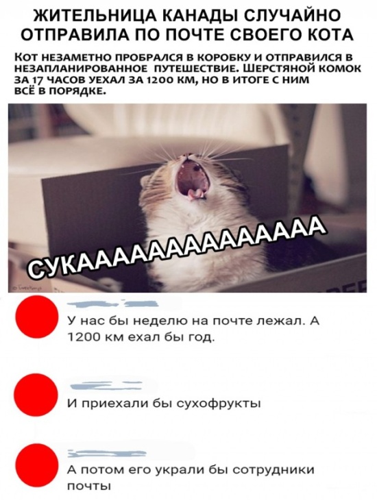 Легкий юмор с просторов сети