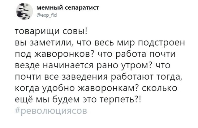 Про жаворонков и сов