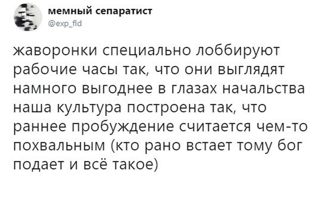 Про жаворонков и сов