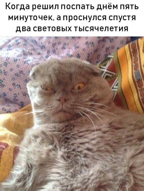 Прикольные картикни